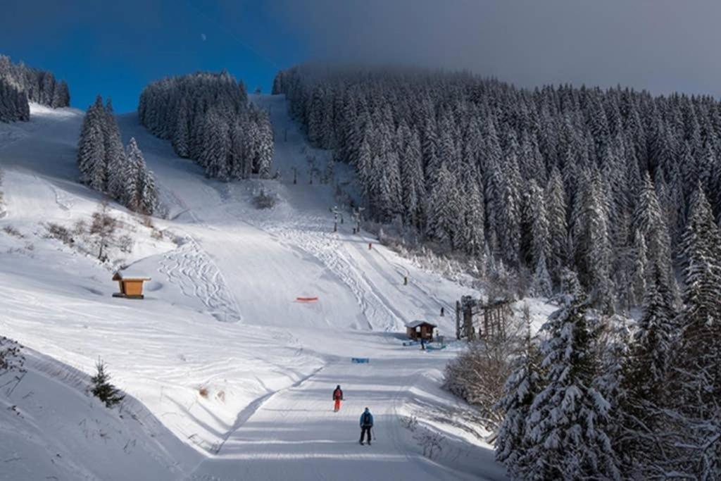 L'Enchalpe, Grand Et Lumineux Studio Avec Coin Montagne 5 Personnes, 60M Des Pistes, Piscine Couverte, Wifi, Grand Balcon Expo Est, Draps Non Compris Saint-Jean-d'Aulps Bagian luar foto